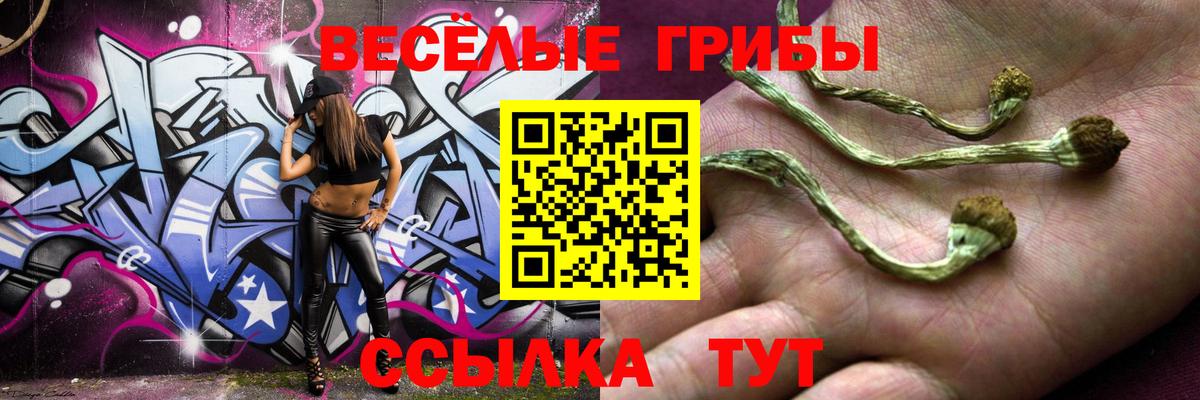 Галлюциногенные грибы мицелий  Вход с VPN  Борисоглебск 